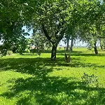 Landhausvilla Gut Vogelsang 公寓 *