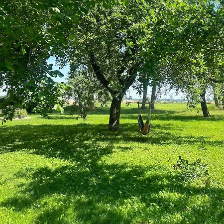 Landhausvilla Gut Vogelsang 아파트 *